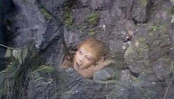 压住孙悟空那种石头