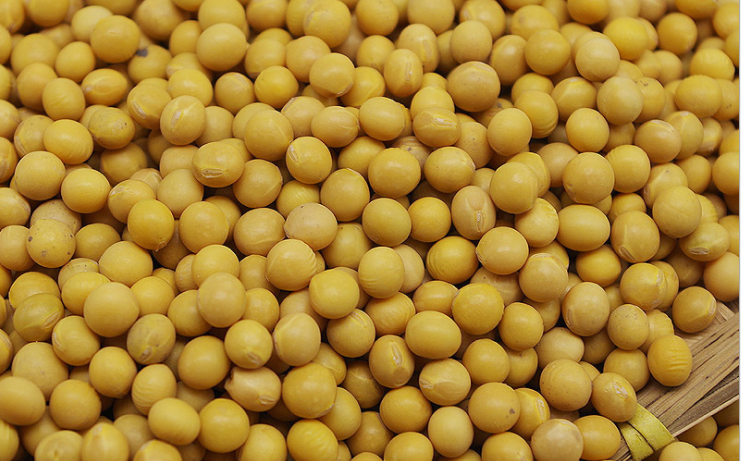 HLM饲料立式磨粉机磨黄豆 HLM饲料立式磨粉机磨黄豆